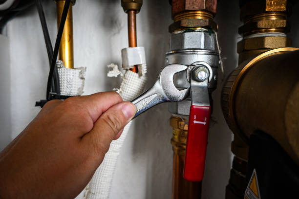 Best Emergency Plumbing Repair  in Williston, SC
